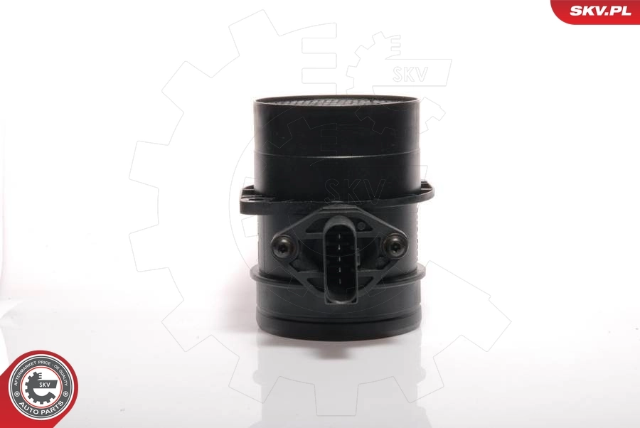 Mass Air Flow Sensor